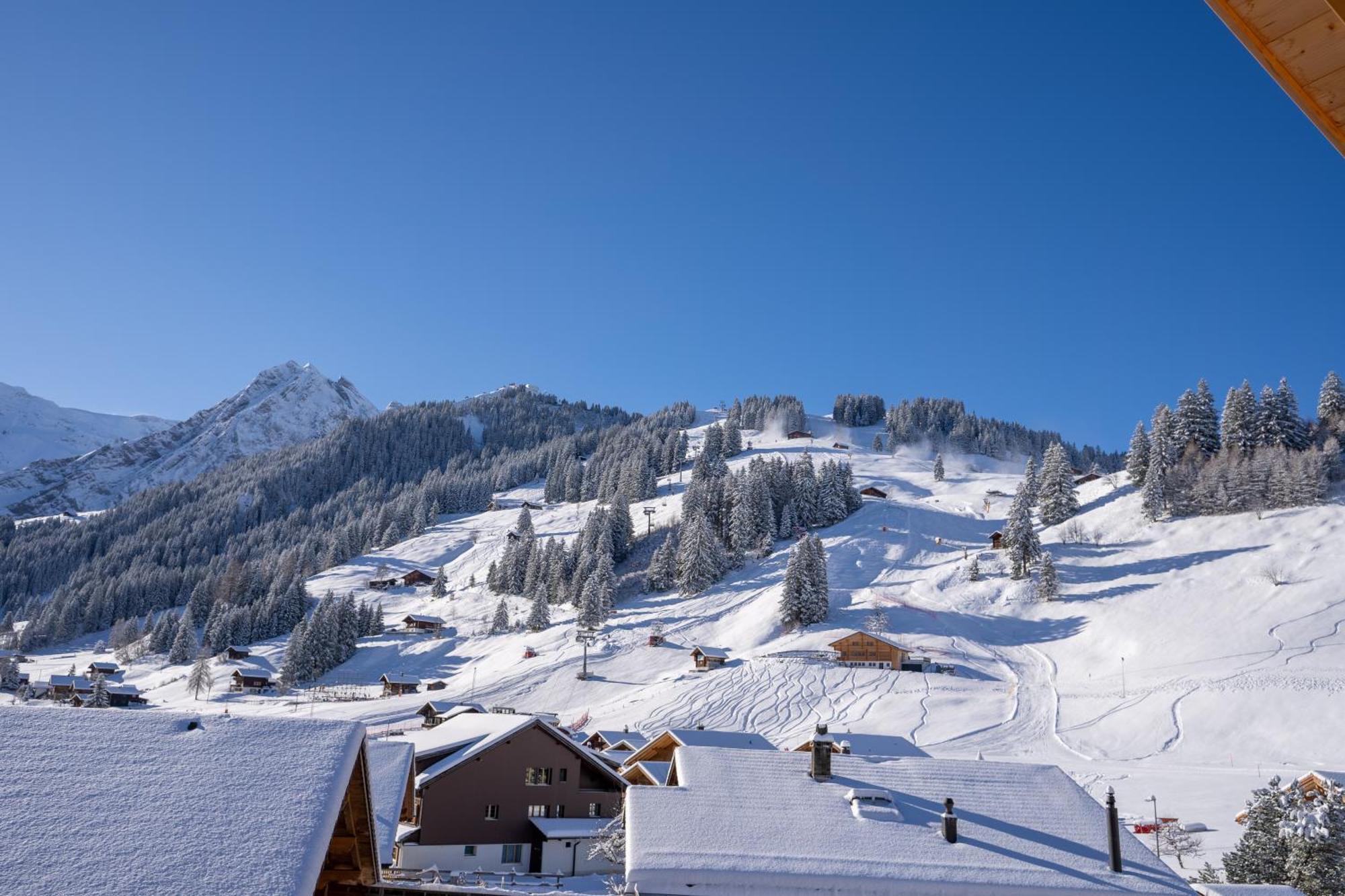 Chuenislodge2- Zwei Balkone, Gemuetlicher Kamin, Top Aussicht Adelboden Zewnętrze zdjęcie